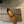 Alaia 25 Strass Ballet Flats Brown Suede Goatskin 303723