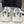 3XL EXTREME LACE SNEAKER WHITE AND SILVER