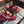 CC 25S Dad Sandal Mule Burgundy Patent Calfskin