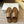 Signum Flat Sandal in Brown Sheepskin 282426