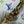 LV x TM Coussin BB 21cm White Multicolor Monogram-embossed Lambskin