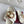 GC Marina Chain Slide Sandal White Cowhide 291038