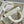 CD Golden Magpie 24 Lady Dior Bag Canvas 336736