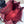 PRA Backpack 32 burgundy nylon fabric 280832