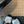 CC 25SS Bow Flat Shoes Black White Sheepskin Frabic 530674