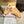 Jimmy Diamond Maxi Retro F Trainer Beige Suede Shearing 538895