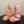 UGG Classic Mini Dipper Legwarmer Pink Suede Wool