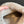 UGG Mini Potato Boots Light Brown Suede Shearing