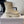 The Row 2025 Zipped Ankle Boot White Cowhide 554601
