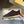 The Row 2025 Sneaker Brown mix Black Suede Canvas 561648