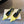 Celine Signature Slingback 5cm Yellow Lambskin 619639