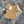 CC SS26 CC Logo Ringer T-shirt Cotton 350539