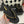CC 26s Thong With Chain Black Sheepskin 684868