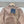 Maxmara Felpa Hoodie Sweatshirt and Pants Set Cotton