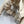 CC 25B Trench Coat Beige Cotton