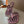 CC 25 Thong Sandal Braided Striped Pink Black