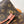 NeoNoe MM 26cm Brown Monogram Canvas