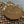CD Lady 17 Brown metallic Canvas and Calfskin attached diamonds