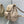 Small CD Caro Blackpack 18cm Powder Beige Macrocannage Lambskin