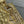CD Lady Dior 17cm Bag Gold Lambskin