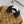 Prada Jacket Brown Polyester Cotton