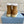 Prada Ankle Boots Brown Shearling Suede