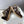Maison Margiela Sneakers Brown Calfskin Suede Patchwork