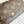 LV Sarah Wallet 19 Brown in Monogram Cowhide