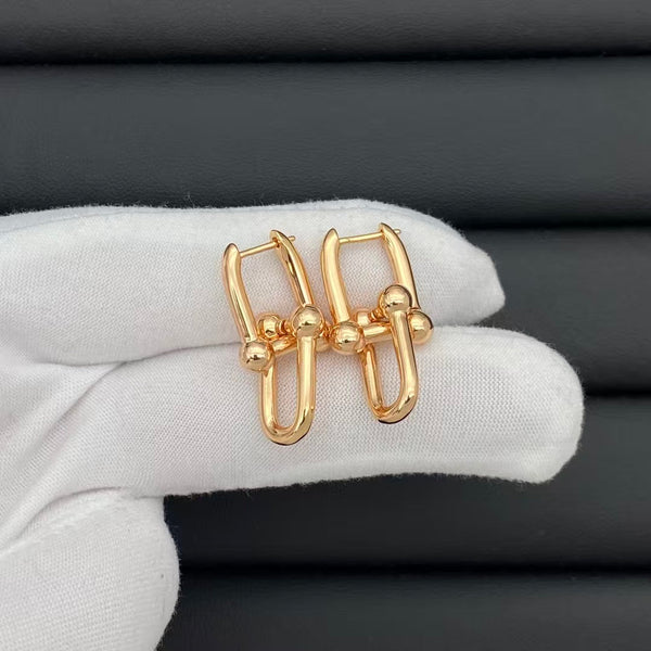 Tiffany & Co HardWear Link Earrings