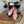 Chanel 2026 Ballet Flat Pink in Cowhide Leather
