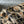 CC Bag 32cm Leopard Print Grosgrain Tweed GHW