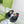 GG 26SS Kika Thong Sandals Web Stripe Interlocking Logo Black Rubber