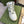 GG HIGH TOP EFFECT TRAINER DISTRESSED