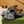 GG LOAFERS JORDAAN MAXI BLACK