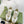 GG SNEAKERS ARDESIA WHITE LEATHER