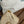 CC 19 Zipped Coin Purse Lambskin