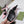 GG SLIM HORSEBIT SLIDE SANDAL WHITE