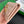 BV Amdiamo Zipper Card Holder 776031