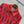 Gucci 2025 Set Rosso Ancora Red Polyester Fiber