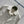 Gucci 2025 Set Ivory Polyester Fiber
