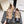 CC 2026 Mary Jane Shoes 20mm Cowhide 930693