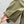 LW 26S Cropped Jacket Tonal Embroidery Anagram 435258