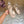 Prad 2026 Round-Toe Platform Sandals 75mm Cowhide 151253