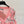 Miu 2026 Argyle Cardigan Knit 431816