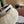 CD Fabric Half-Head Hat 491781