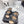 CC 26FW Shearling Sandals Triple Straps Pony Hair 161805