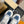 LV RUN 55 SNEAKER BLUE GRAY