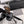 MONTAIGNE SQUARE SUNGLASS CD4780 IN ACETATE