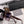 MONTAIGNE SQUARE SUNGLASS CD4780 IN ACETATE