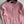 CC 25A Classic Round Neck Floral Wool Cardigan In Pink 275515